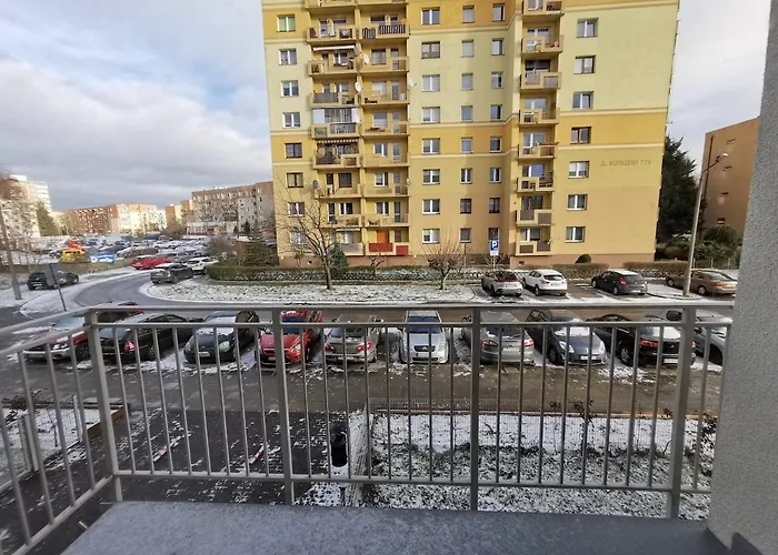 Adler - Family Stettin