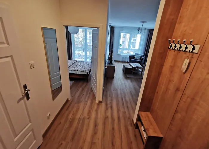 Adler - Family Stettin